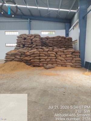 Water Affected Stock of Maize